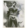 Image 2 : Steve Reeves