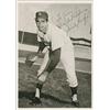 Image 1 : Sandy Koufax