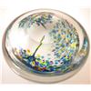 Image 3 : Signed Paperweight KONSTGLAS RONNEBY,  Sweden