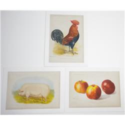 Three Different Linen-Mounted Pictures / Illustrations