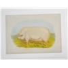 Image 3 : Three Different Linen-Mounted Pictures / Illustrations