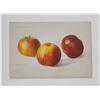 Image 4 : Three Different Linen-Mounted Pictures / Illustrations