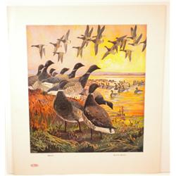 Du Pont Game Bird Print 1917, Black Brant & Brant