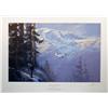 Image 1 : Aviation Art Rainier Encounter Fellows United 247