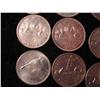 Image 5 : 12 CANANDIAN SILVER DOLLARS 1959-1964 (ONE MONEY)