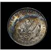 WILD Rainbow Toned 1896-p Morgan Dollar Grades ms64