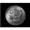 1891-s/s Morgan Dollar Vam 12 Rarity 6 Grades au58