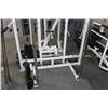 Image 2 : Apex Double Workout Station