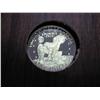Image 2 : 1974-S SILVER IKE DOLLAR PROOF (BROWN PACK)