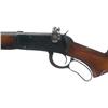 Image 2 : Excellent Winchester Model 64 Lever Action Rifle