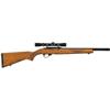 Image 1 : Ruger Model 10/22 Semi-Automatic Rifle with Clark Custom Barrel