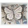 Image 1 : Alvaro Guillot, Butterfly, Lithograph