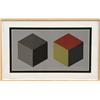 Image 1 : Sol Lewitt, Two Cubes, Silkscreen