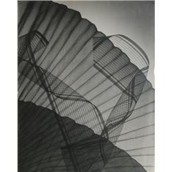 Rowena Fruth, Design 7, Photograph