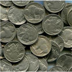 Lot of 50 Buffalo Nickels