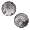 Image 1 : Nice Buffalo Silver Round Bullion Lot (10)