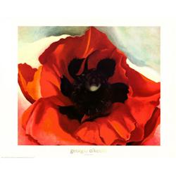 Poppy - By Georgia O'keefe -