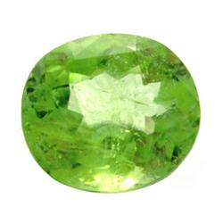 4.79ct Beautiful Pakistani Peridot  (GEM-27992)
