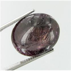 22.05ct Unheated Star Ruby Cabochon (GEM-29227)