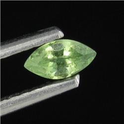 0.24ct Rich Green Demantoid Garnet (GEM-26561)