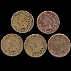 1863 Indian Cent Lot of 5 Circulated (COI-7455)
