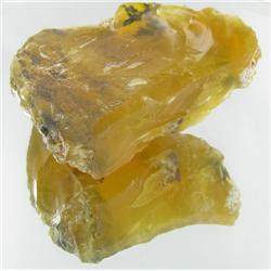 389ct Rough Fire Opal Aquatic Plant In Stone (GEM-27622)