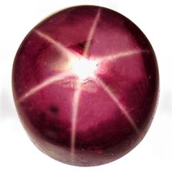 16.82ct Stunning Oval Cab Red 6 Rays Star Ruby (GEM-28058)