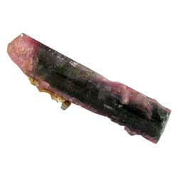 9.8ct Bi-Color Tourmaline Crystal Term. Brazil (GEM-24348)