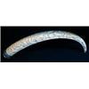 Image 1 : Large African Tusk, 47 1/2", LEGAL W/Paperwork