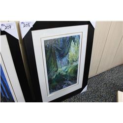 LIMITED EDITION PRINT 38/175 "CATHEDRAL GROVE" BY