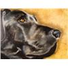 Image 2 : Duerrstein Original Dog Painting Black Lab Labrador