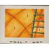 Image 1 : SpongeBob House Ladder Background Animation Original