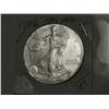 Image 1 : 1996 SILVER EAGLE