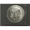 Image 2 : 1996 SILVER EAGLE