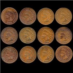1882 Indian Cent Lot of 12 Circulated (COI-7488)