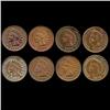 Image 1 : 1892 Indian Cent Lot of 8 Hi Grade (COI-7499)