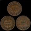 Image 2 : 1881 Indian Cent Lot of 10 Circulated (COI-7493)