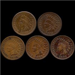 1883 Indian Cent Lot of 5 Hi Grade (COI-7494)