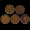 Image 1 : 1883 Indian Cent Lot of 5 Hi Grade (COI-7494)