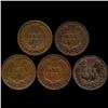 Image 2 : 1883 Indian Cent Lot of 5 Hi Grade (COI-7494)