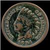 Image 1 : 1894 Indian Cent Hi Grad (COI-7509)