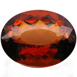 261.0ct Huge Madeira Brazil Citrine Appr Est $78k (GEM-28744)