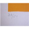 Image 4 : MAURICE ESTEVE Signed Lithograph French Abstract