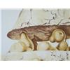 Image 4 : SAMUEL BAK Signed Lithograph Israeli Surrealism