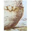 Image 5 : SAMUEL BAK Signed Lithograph Israeli Surrealism