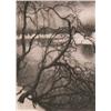 Image 2 : Aage Roose “Winter Scene with Lake & Trees”