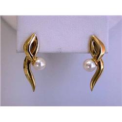 14k Gold Earrings with Pearl