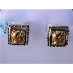 Silver and Gold Earrings