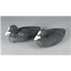 Image 1 : (2) Coot Duck Decoys~Darell Martin~Anchor Bay