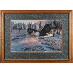Cynthia Fisher Framed Print